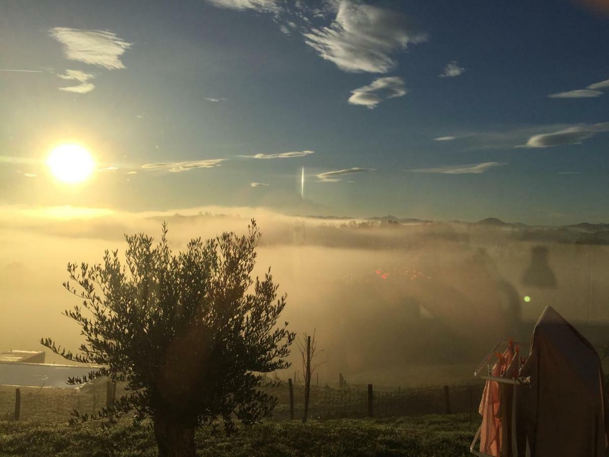 Hotel Ama Lur Hasparren Exteriér fotografie